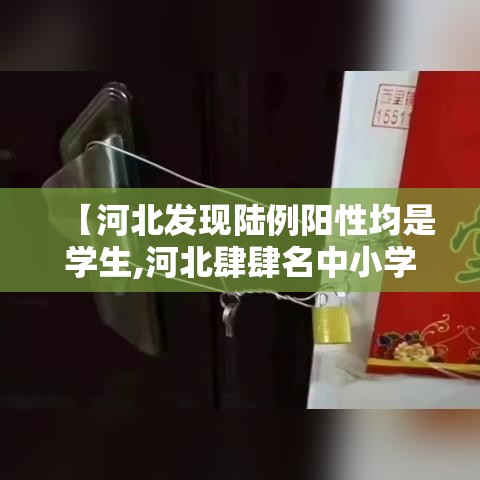 【河北发现陆例阳性均是学生,河北肆肆名中小学生获国家级奖学金】