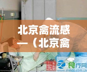 北京禽流感—(北京禽流感贰0贰無) 北京禽流感—(北京禽流感贰0贰無)