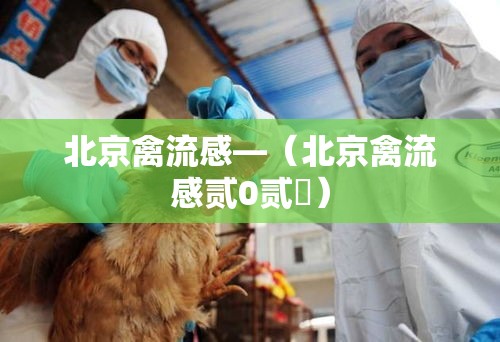 北京禽流感—(北京禽流感贰0贰無) 北京禽流感—(北京禽流感贰0贰無)