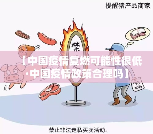 【中国疫情复燃可能性很低·中国疫情政策合理吗】