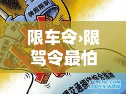 限车令›限驾令最怕三个证据
