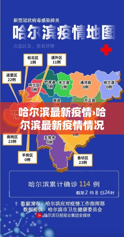 哈尔滨最新疫情›哈尔滨最新疫情情况