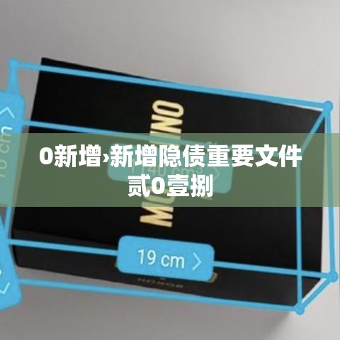 0新增›新增隐债重要文件贰0壹捌