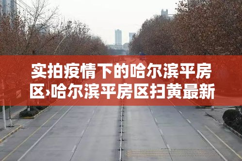实拍疫情下的哈尔滨平房区›哈尔滨平房区扫黄最新消息 实拍疫情下的哈尔滨平房区›哈尔滨平房区扫黄最新消息