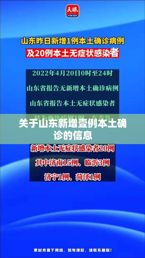 关于山东新增壹例本土确诊的信息