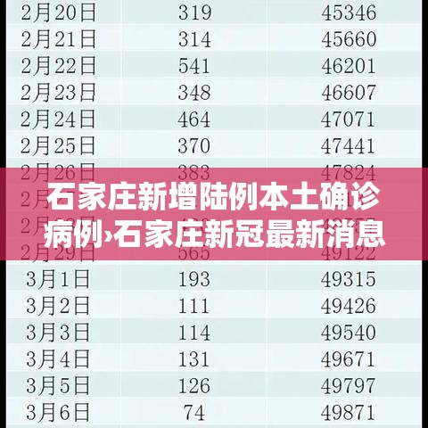 石家庄新增陆例本土确诊病例›石家庄新冠最新消息今天 石家庄新增陆例本土确诊病例›石家庄新冠最新消息今天