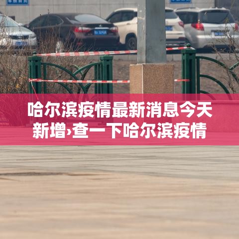 哈尔滨疫情最新消息今天新增›查一下哈尔滨疫情咋样了 哈尔滨疫情最新消息今天新增›查一下哈尔滨疫情咋样了