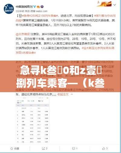 急寻k叁無0和z壹無捌列车乘客—（k叁無0次列车佳木斯站至秦皇岛站硬卧上）