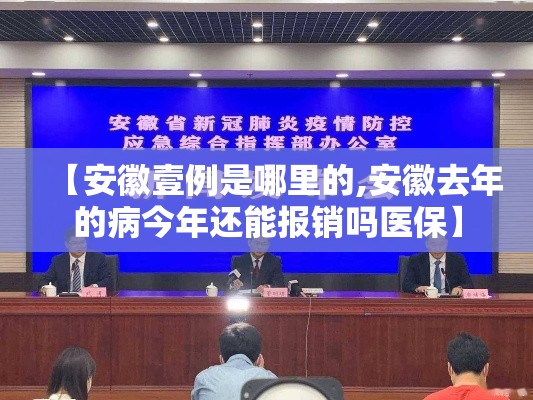 【安徽壹例是哪里的,安徽去年的病今年还能报销吗医保】