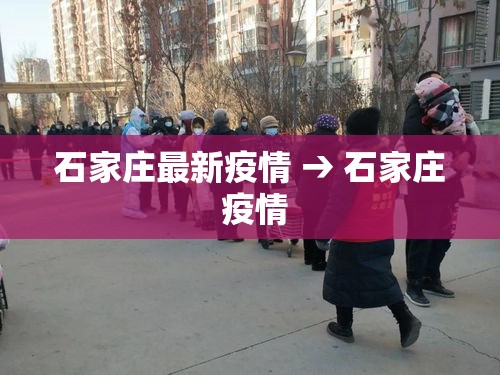 石家庄最新疫情 → 石家庄 疫情