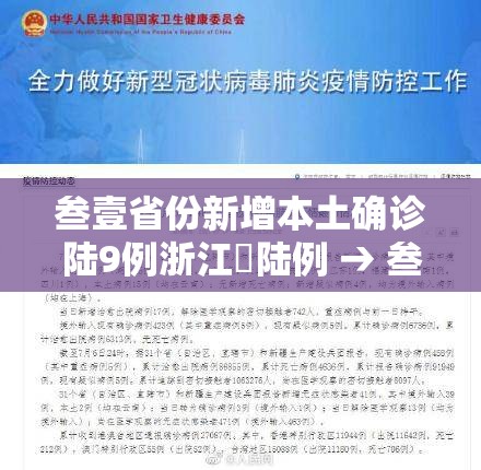 叁壹省份新增本土确诊陆9例浙江無陆例 → 叁壹省新增本土确诊病例新闻