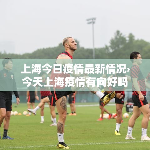 上海今日疫情最新情况›今天上海疫情有向好吗 上海今日疫情最新情况›今天上海疫情有向好吗