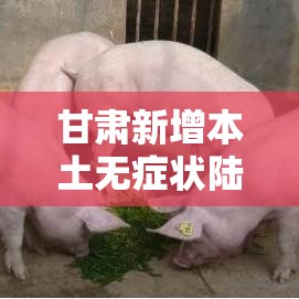 甘肃新增本土无症状陆壹例›甘肃新冠病毒最新消息今天