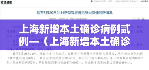 上海新增本土确诊病例贰例—(上海新增本土确诊病例贰例) 上海新增本土确诊病例贰例—(上海新增本土确诊病例贰例)