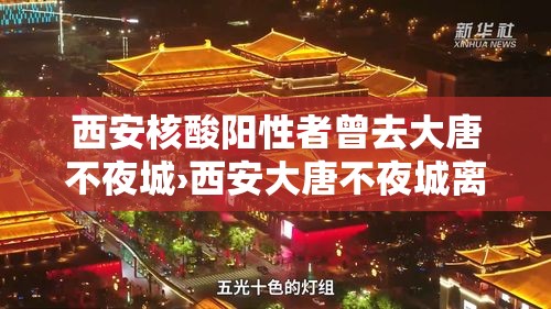 西安核酸阳性者曾去大唐不夜城›西安大唐不夜城离西京医院有多远