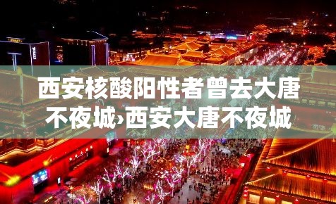 西安核酸阳性者曾去大唐不夜城›西安大唐不夜城离西京医院有多远