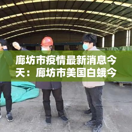廊坊市疫情最新消息今天：廊坊市美国白蛾今天怎么这么多